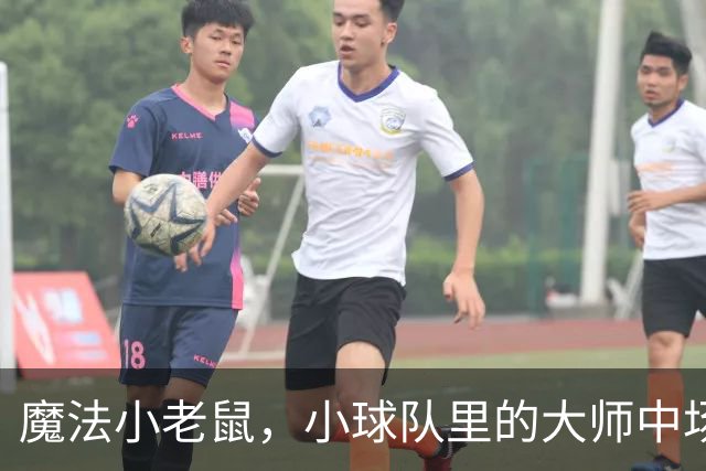 魔法小老鼠，小球队里的大师中场，欧洲杯0出场，生不逢时？