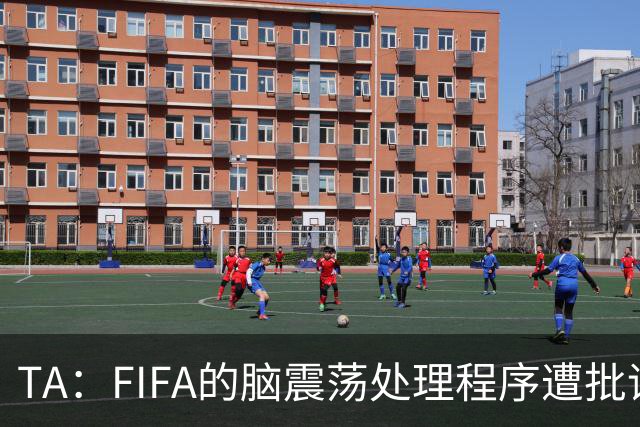 TA：FIFA的脑震荡处理程序遭批评，专家认为球员被置于风险之中